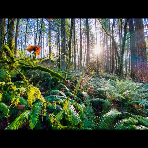 Meet your Posher, Brittney - Picture 2 of 7